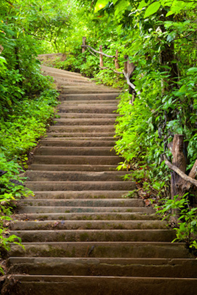 Stairway to forest